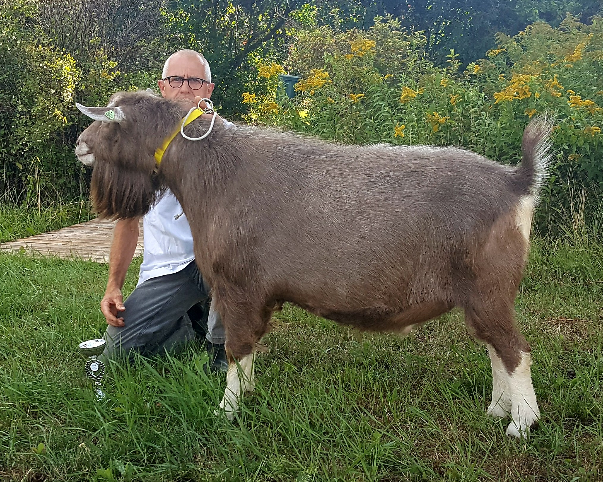 20180810_185404-kinas-koendert-modelbok