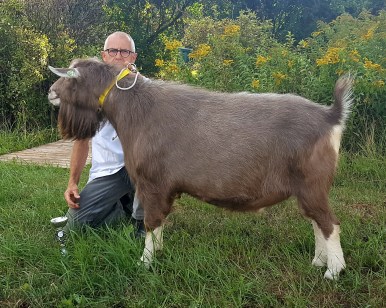 20180810_185404-kinas-koendert-modelbok