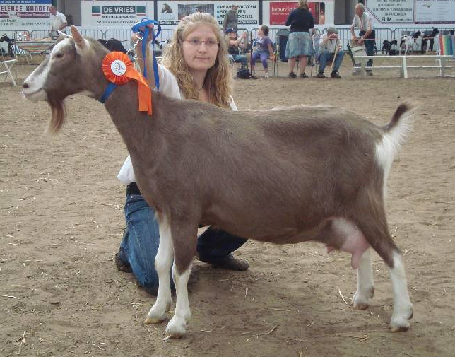 Beilen_2009_NCW10.1.jpg- Elske 58 Hoenderdaal Wink.