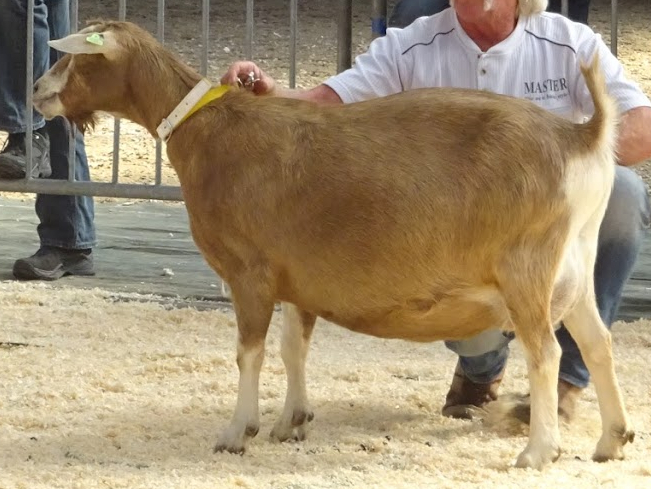 DSC07827. JPG Kina 22