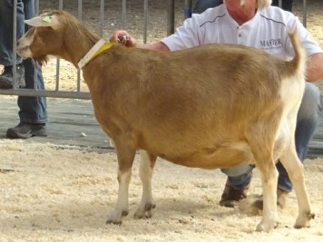 DSC07827. JPG Kina 22