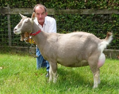 november Marry 166 foto