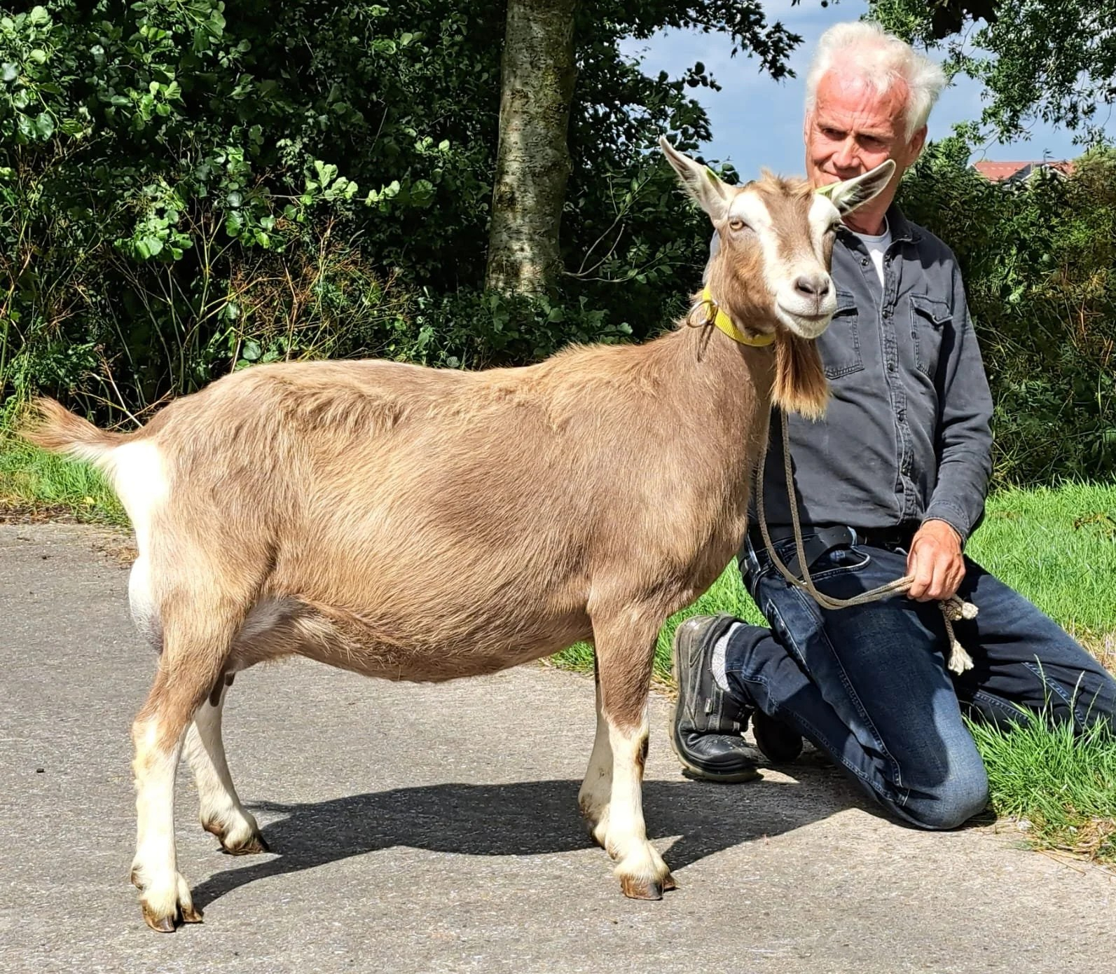 november Sarie 233 foto-2