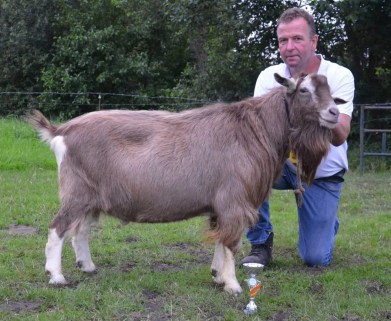 november Sarie's Patrick JH foto