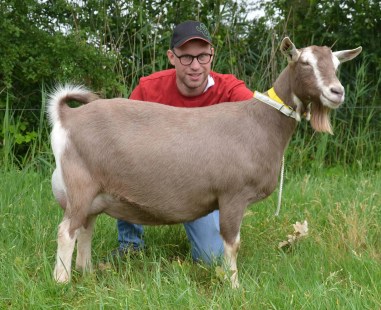 november Sjoukje 14 foto