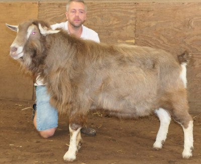 november sweelhoeve-nectis foto