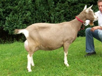 Sweelhoeve Grietje 33 NL100008713816