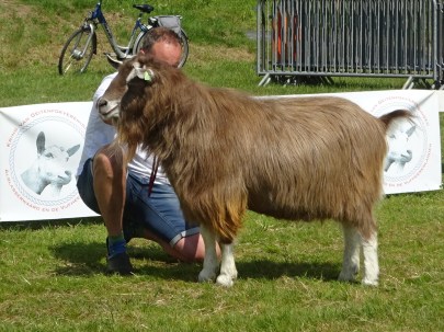 Sweelhoeve Mirquez 90 92 90 88