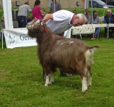 2. Blake from Montana.