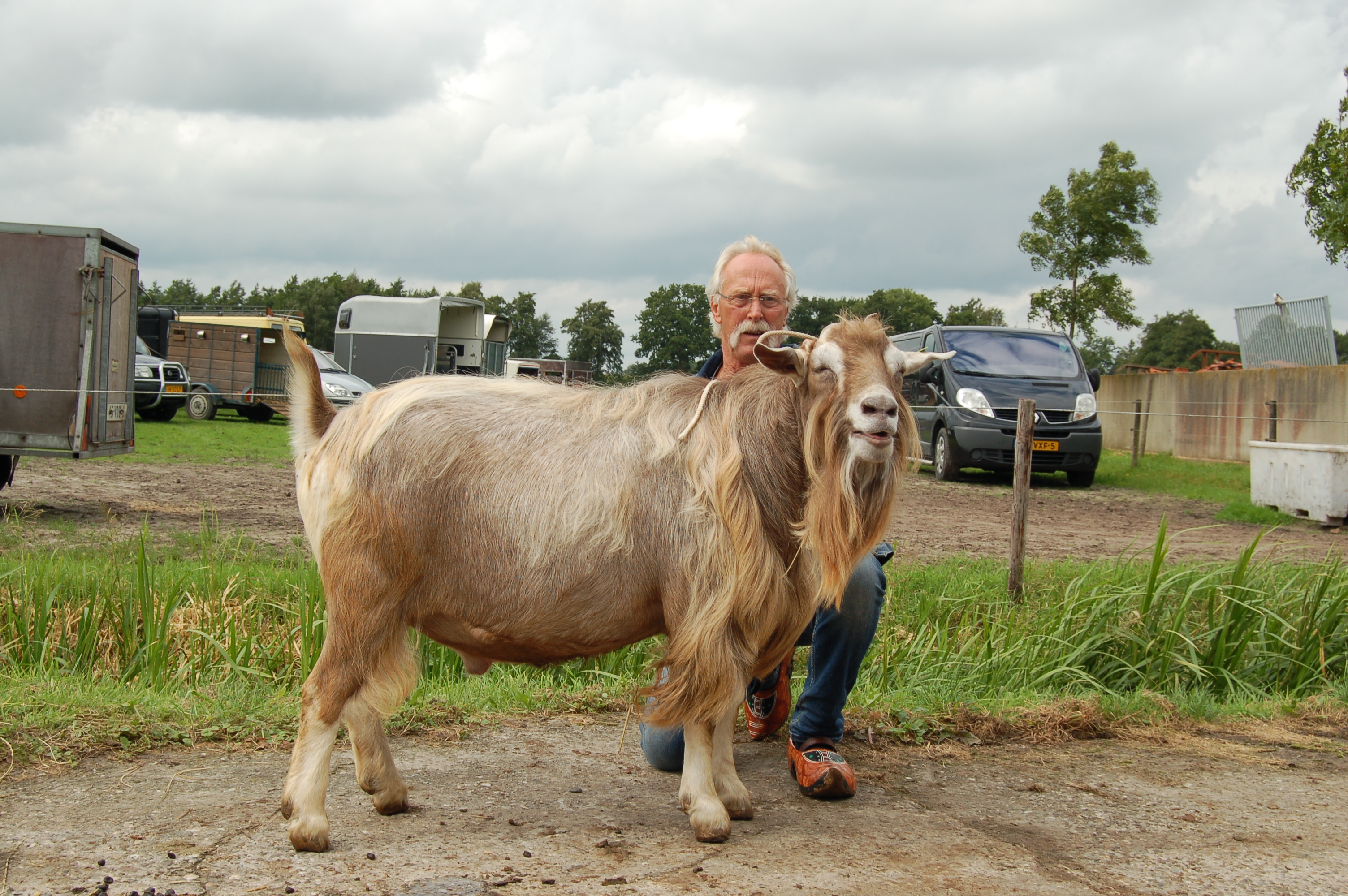 a Paul P NL10003792295 geb.18-02-2015 v.Tjedmar Jelte NL100011120140 m. Kina 6 NL10000714986 2 jr.