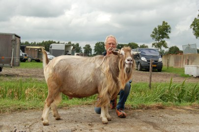 a Paul P NL10003792295 geb.18-02-2015 v.Tjedmar Jelte NL100011120140 m. Kina 6 NL10000714986 2 jr.