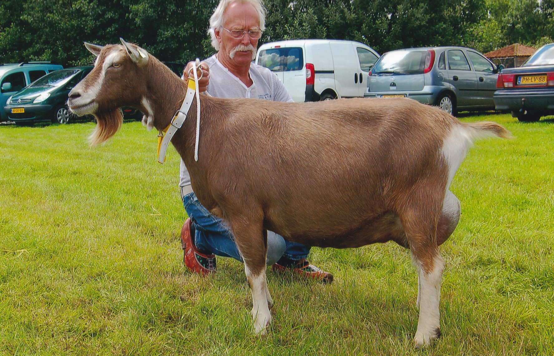 Kina 82 3 jr. NL100037192282 geb.22-02-2014 v.Tjedmar Johan NL100011520100 m.Kina 11 NL100007539811