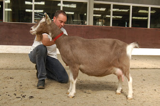 Sweelh. Eline 5 NL100010205767 geb.07-02-2014 v.Edulan NL1000850713816 m.Sarie 182 NL100011420098