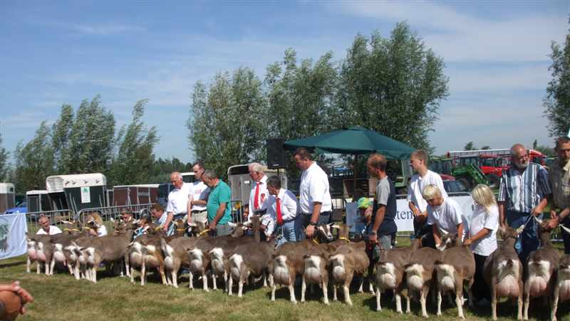 b142 Kringkeuring 15 augustus 2009