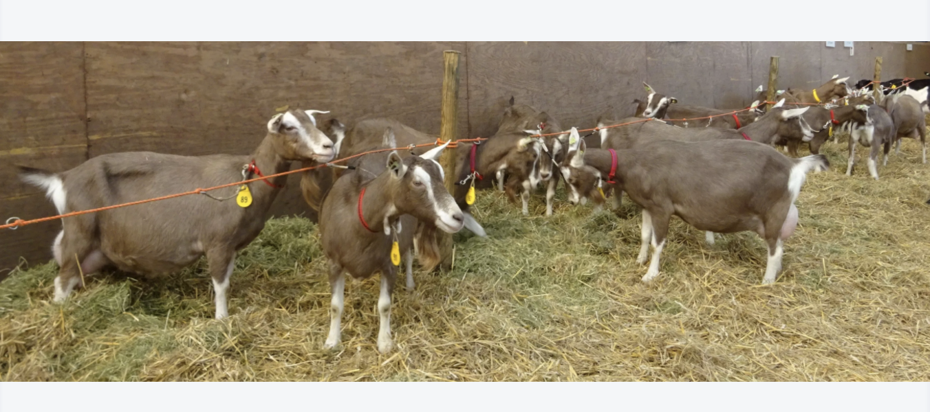 Screen Shot 2018-03-31 at 4.40.37 PM