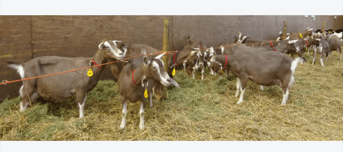 Screen Shot 2018-03-31 at 4.40.37 PM