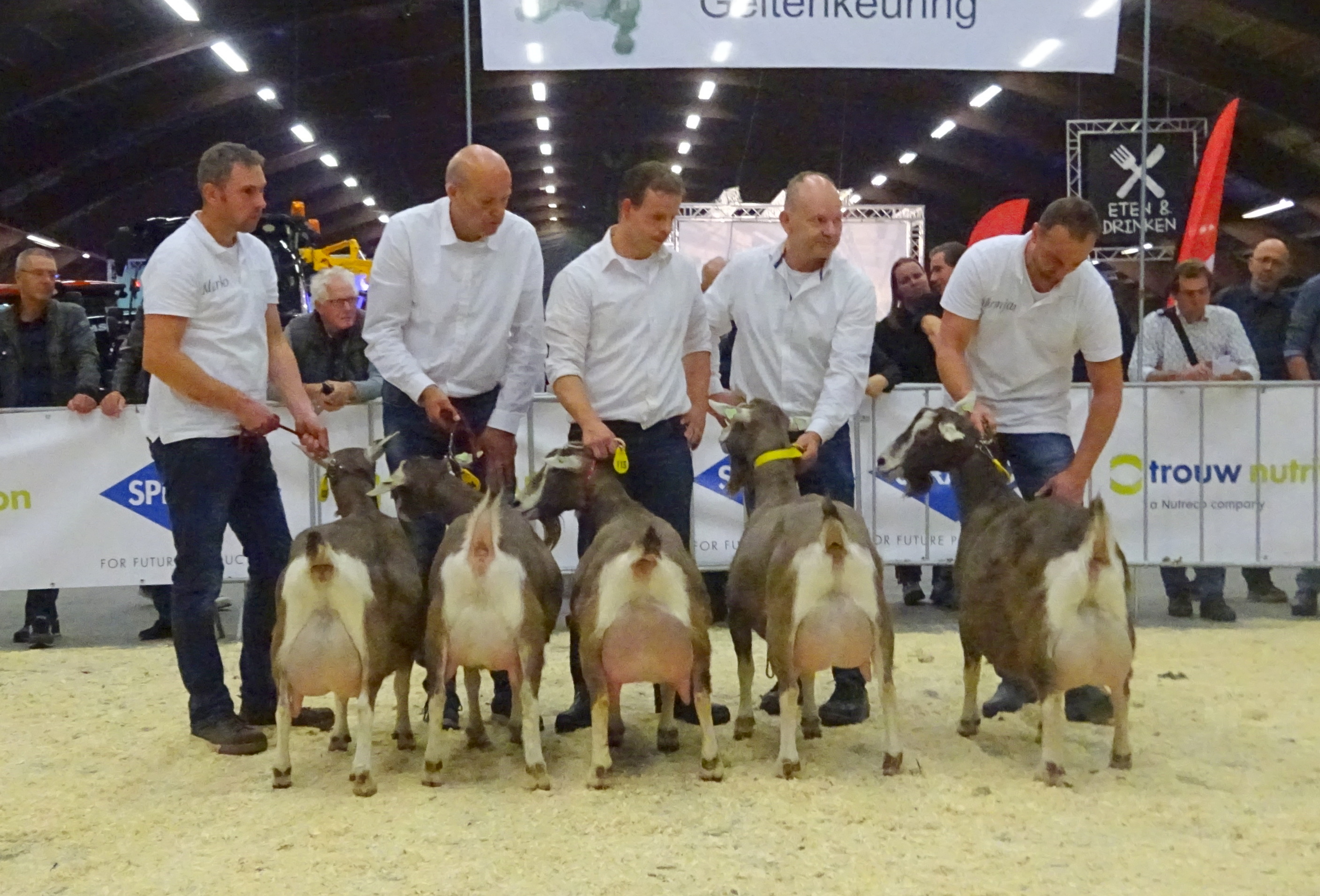 DSC04051.JPG laatste vijf