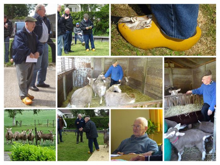 mijn_collage.jpg 2020 JvB