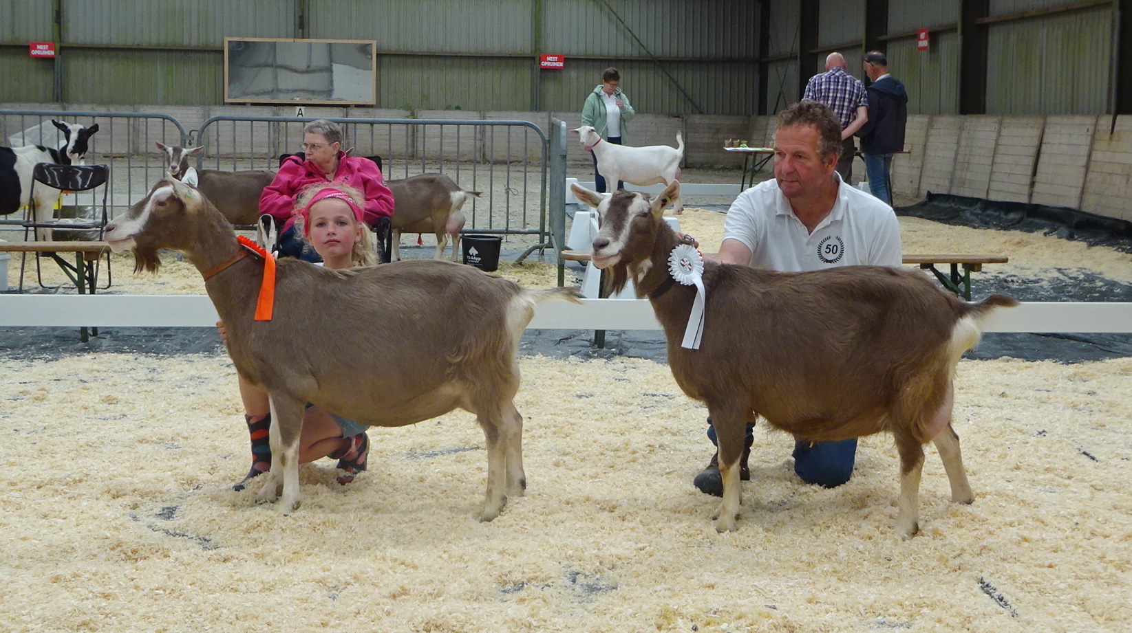 DSC05605. kampioen en reserve kampioen Toggenburger geiten